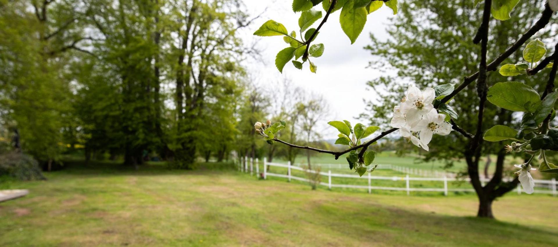 Obermuehle Duderstadt Eksteriør bilde